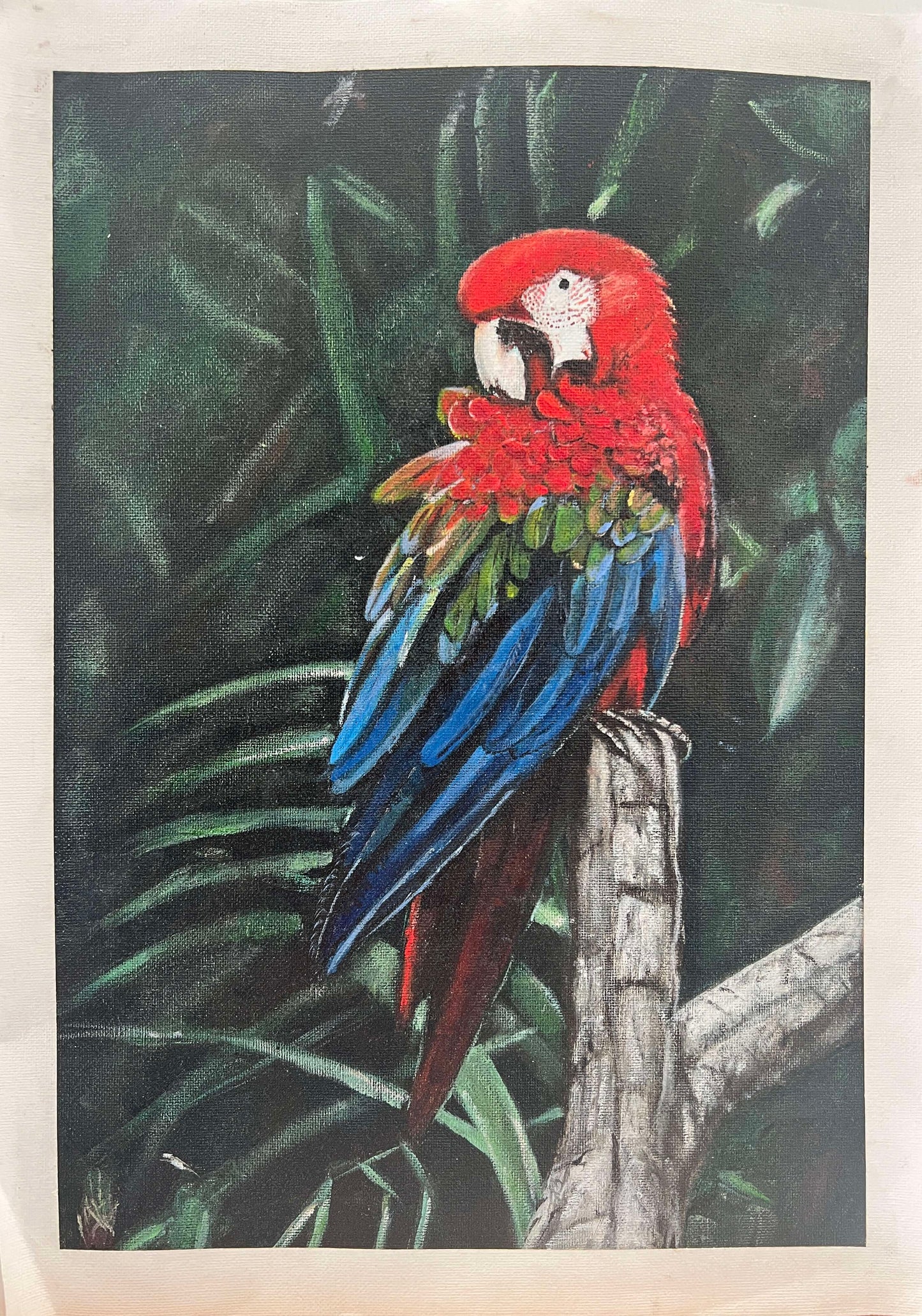 Parrot On Log | Original Art