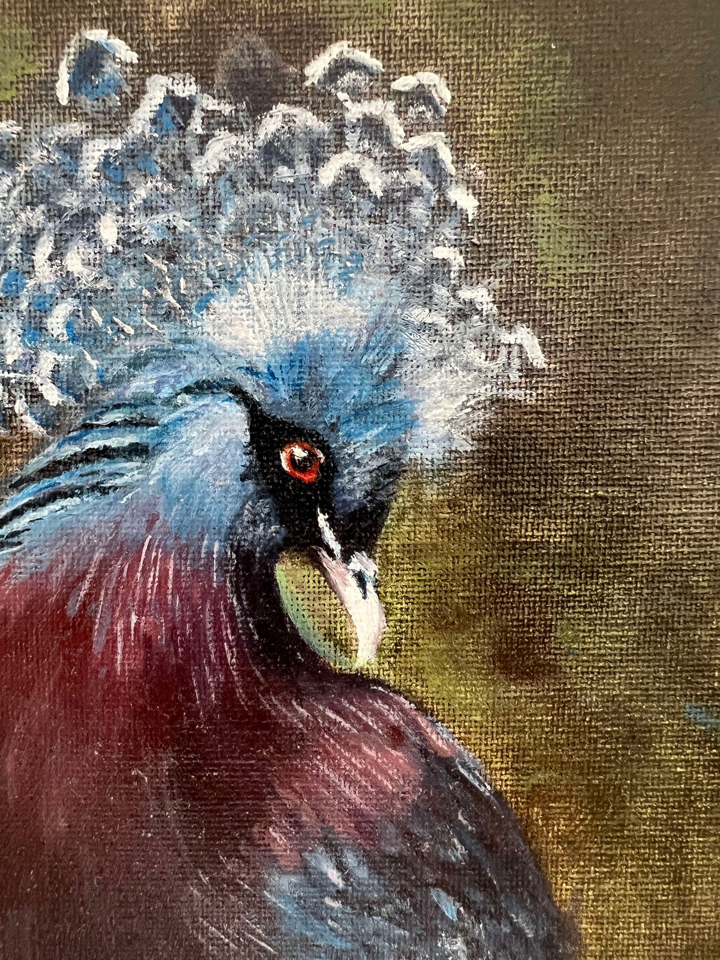 Crowned Pigeon | Realism