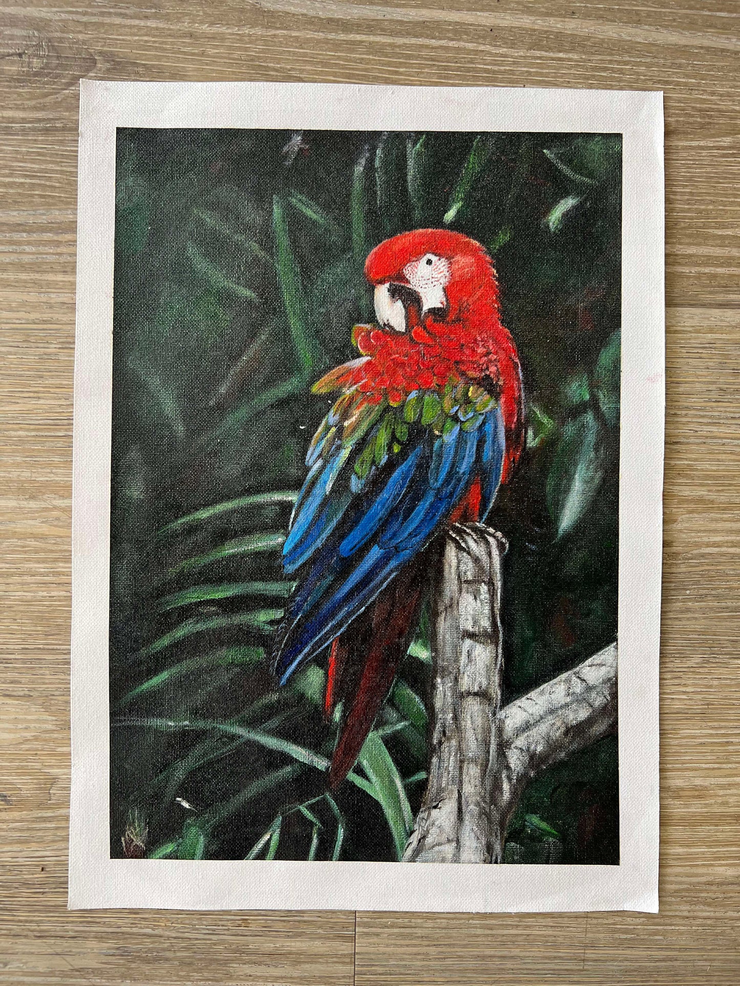 Parrot On Log | Original Art