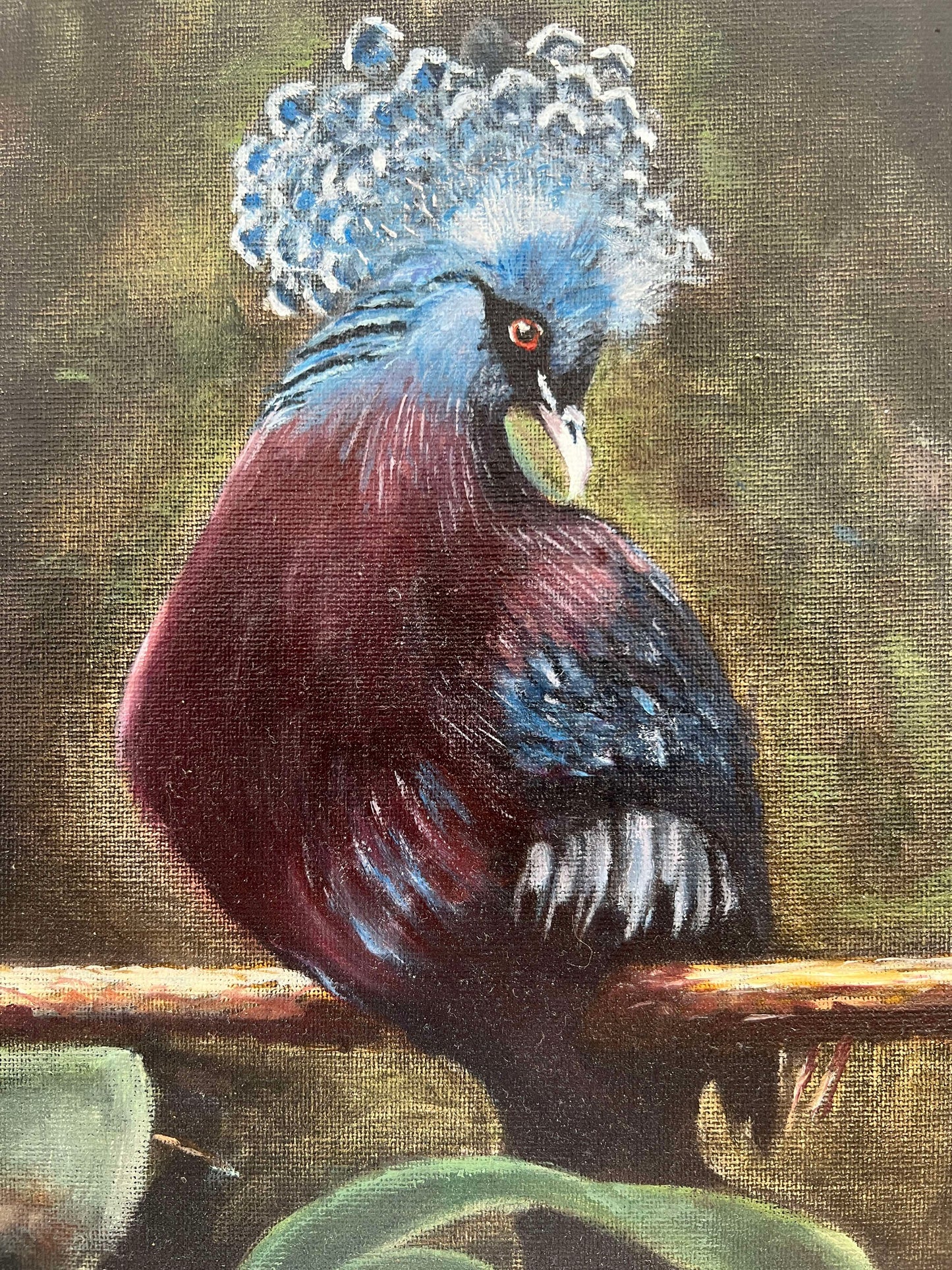 Crowned Pigeon | Realism
