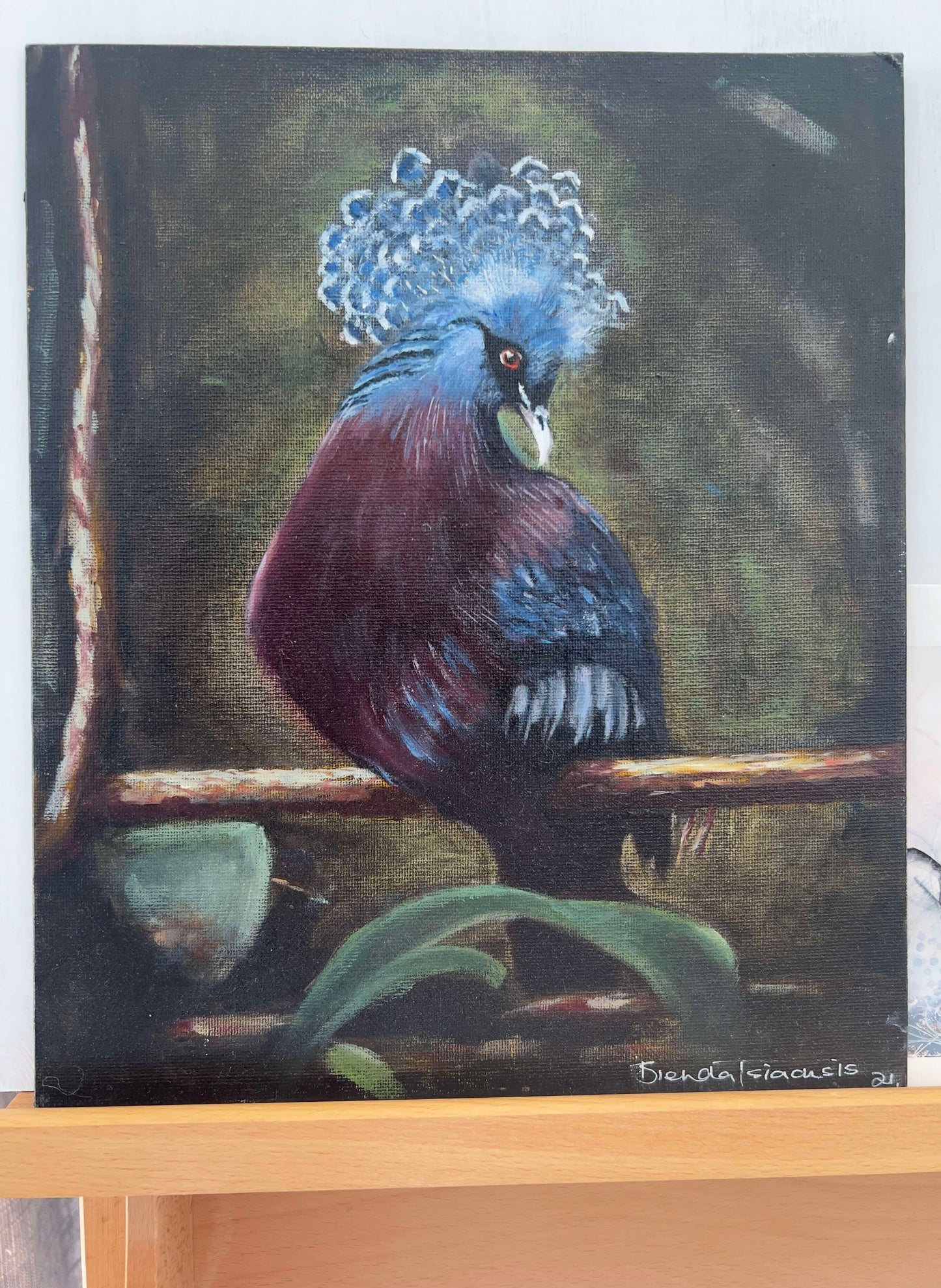 Crowned Pigeon | Realism