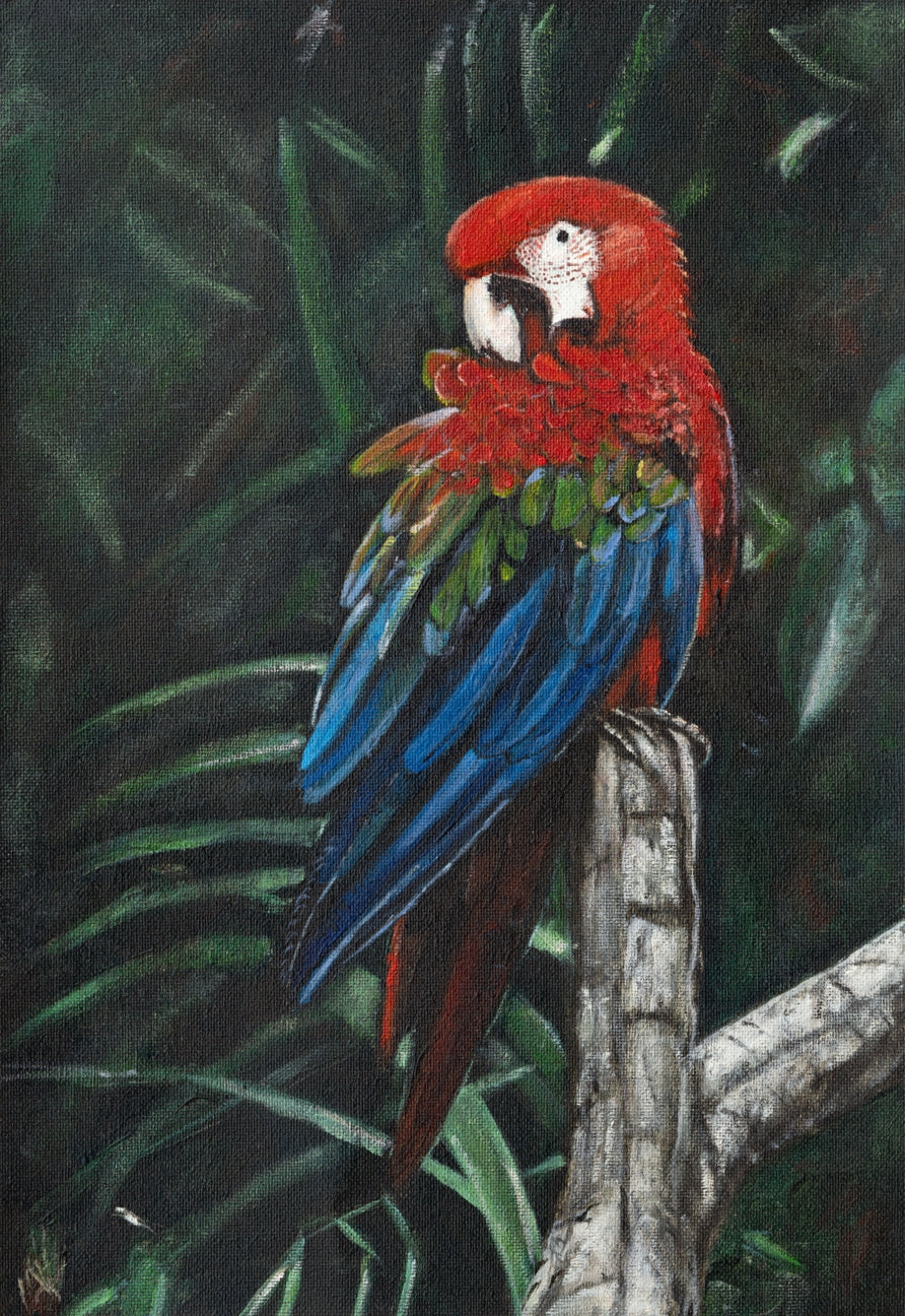 Parrot On Log | Original Art